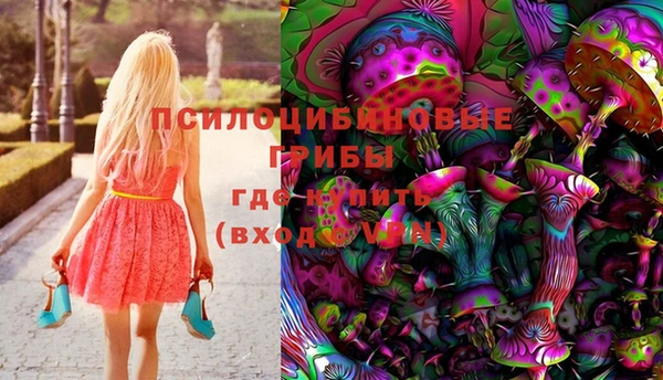 метадон Армянск